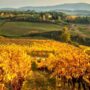 Fall in Tuscany