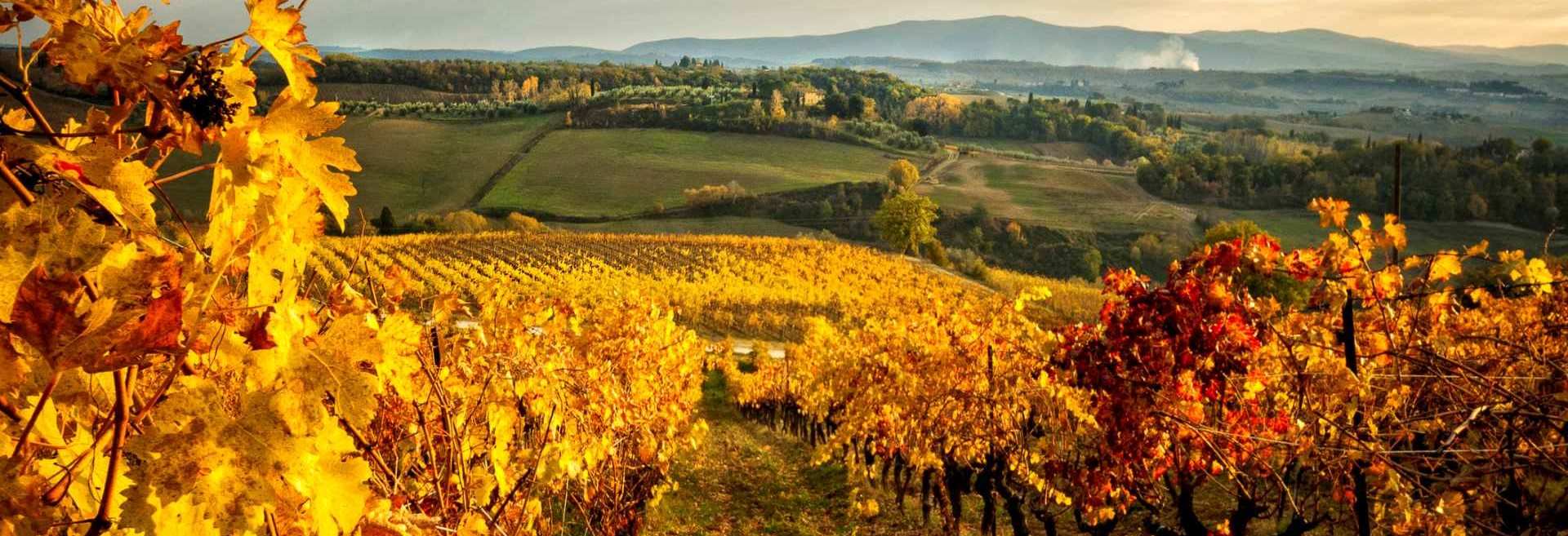 Fall in Tuscany